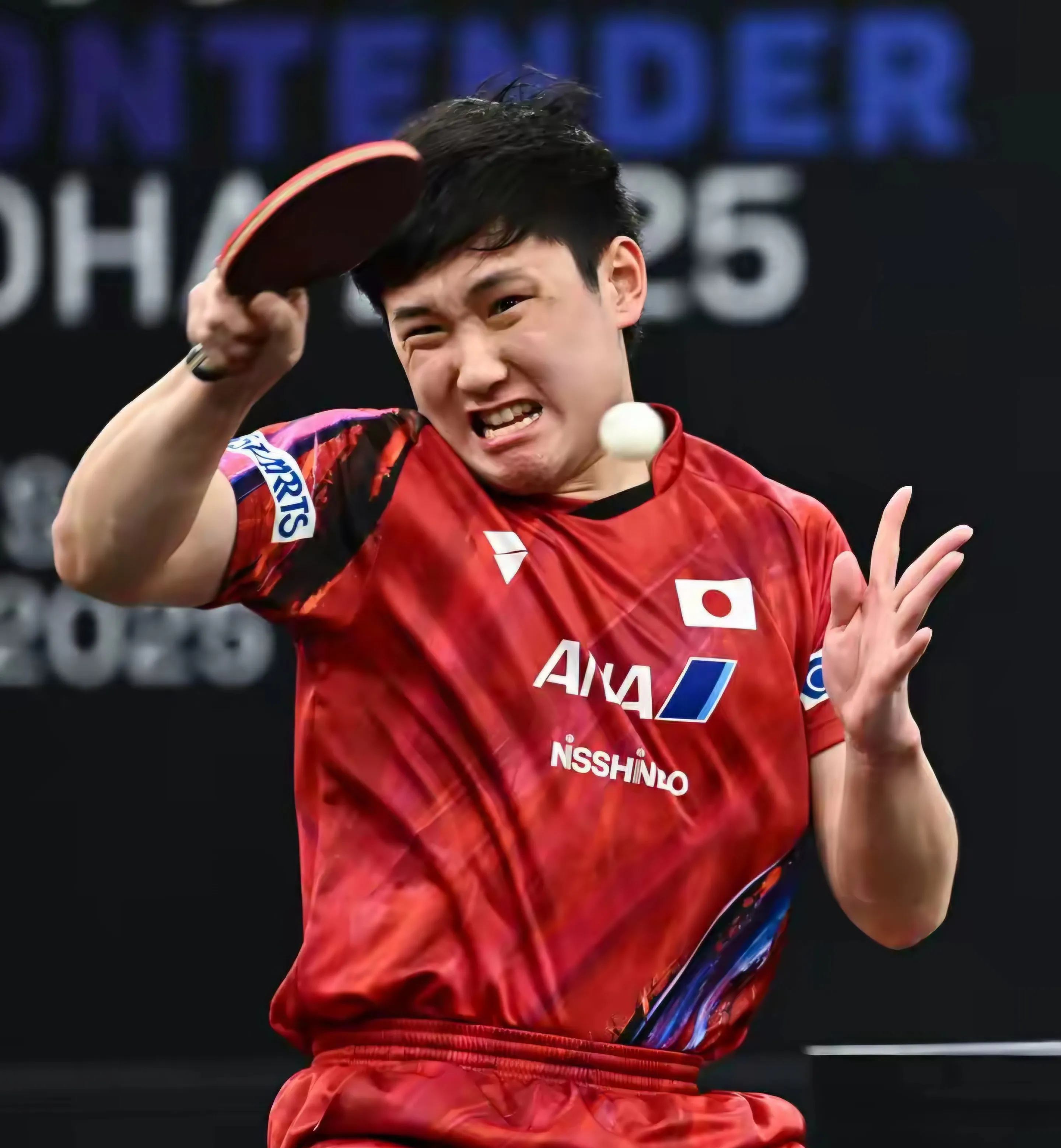 关于英国乒乓球队险胜德国乒乓球队，张本智和打破历史纪录的信息