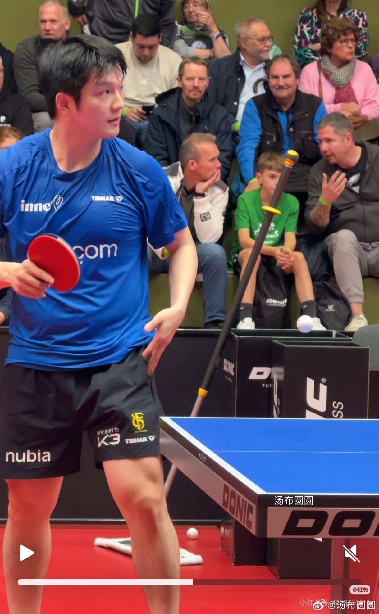 德国队碾压波兰队，樊振东统治全场