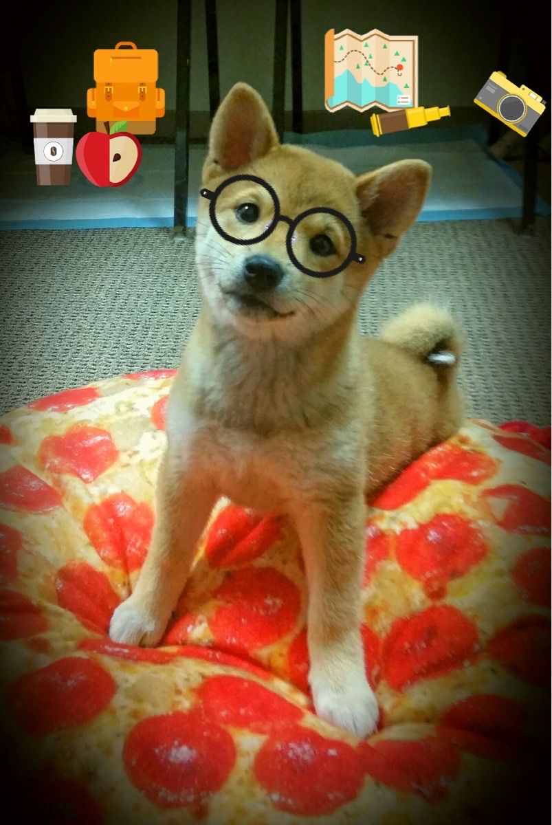 意甲焦点战，AC米兰淘汰亚特兰大，红黑军团续写辉煌篇章