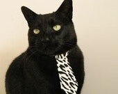 pg电子模拟器试玩在线-数字风暴，斯通斯揭幕战之夜引爆F1新纪元