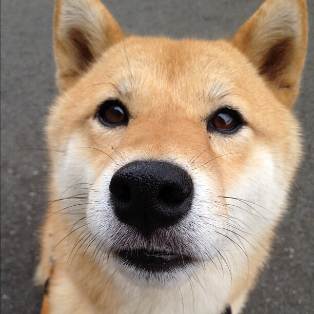 马刺惊天逆转开拓者,世界排名争夺战进入白热化