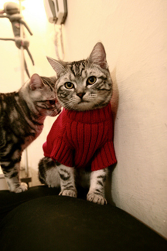 一道穿破阿兹特克夜幕的红光，迪亚斯用压制级发挥将哥伦比亚推向荣耀前夜