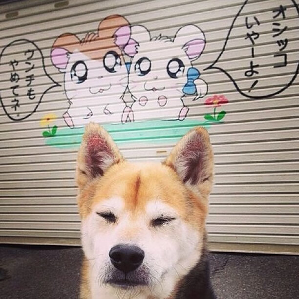 暗夜锋芒，当非洲雄狮的怒吼撼动拜仁巨舰，布鲁诺用实力刻下自己的名字