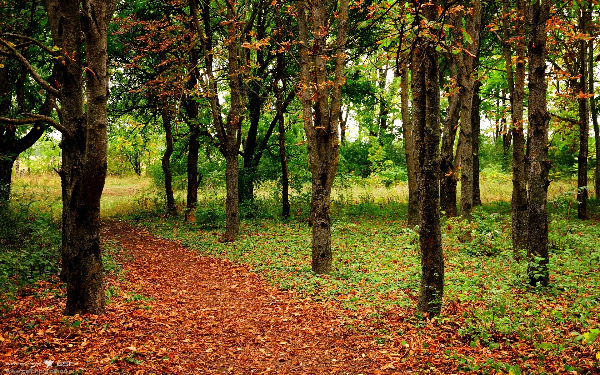跨界绝杀，当库里在欧冠决赛投进三分