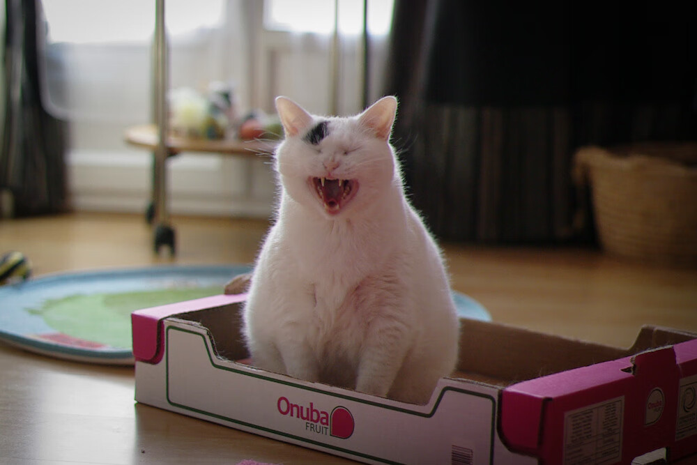 pg电子模拟器试玩在线-跨界征服，从雷恩打穿切尔西到伊萨克在F1赛道的年度争冠接管