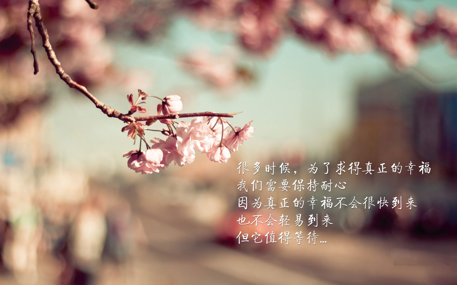 铁幕与利刃，猛龙冰封辽宁队，利拉德生死时刻定乾坤