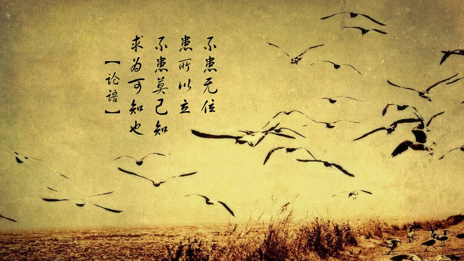 加克波独领风骚破僵局，委内瑞拉铁血防守锁死伊朗