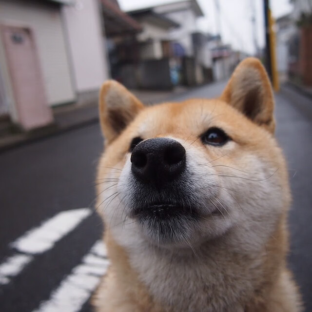 足球外交，当德里赫特一脚踏平东西方球场