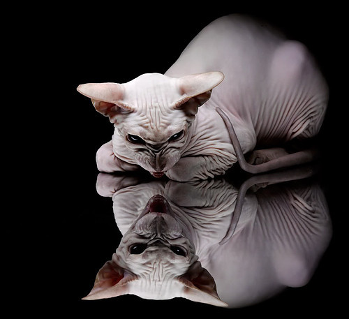 门迪一夫当关！伊拉克0-0逼平智利，关键战展现大心脏