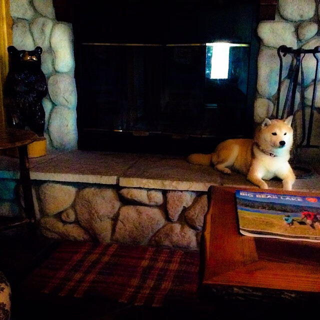 罗马城之夜，巴斯托尼爆发助意大利关键战突围厄瓜多尔