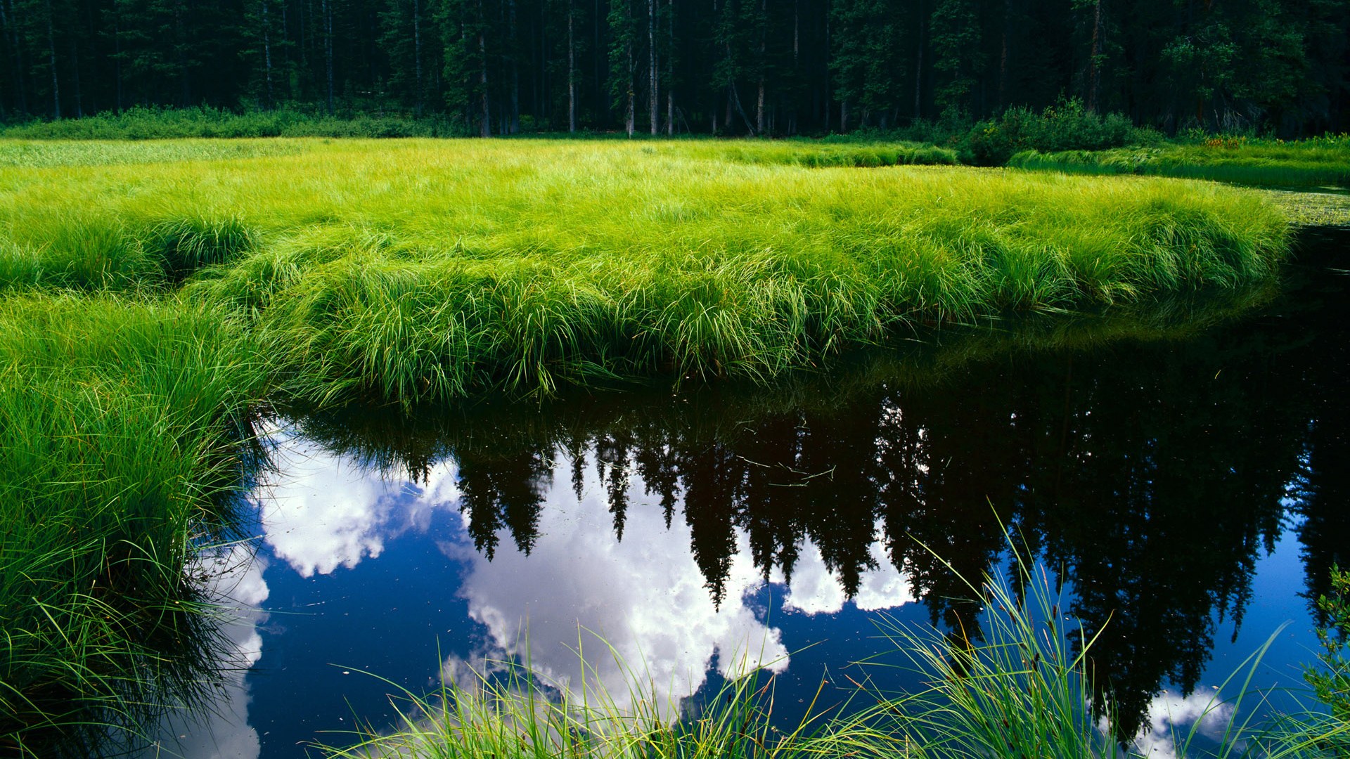 卡塞米罗的涅槃,NBA季后赛之夜铸就生涯传奇