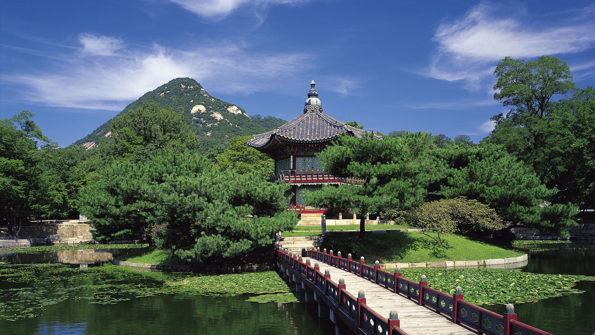 切特·霍姆格伦,控球中锋的节奏魔法,国王轻取奇才