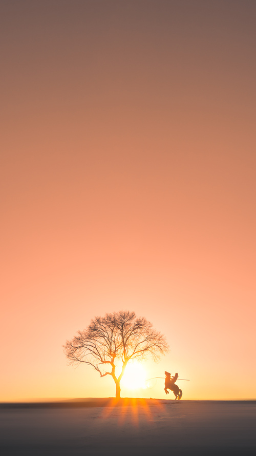 文班亚马49分创纪录之夜,东契奇三双+制胜封盖诠释何为终极赢家