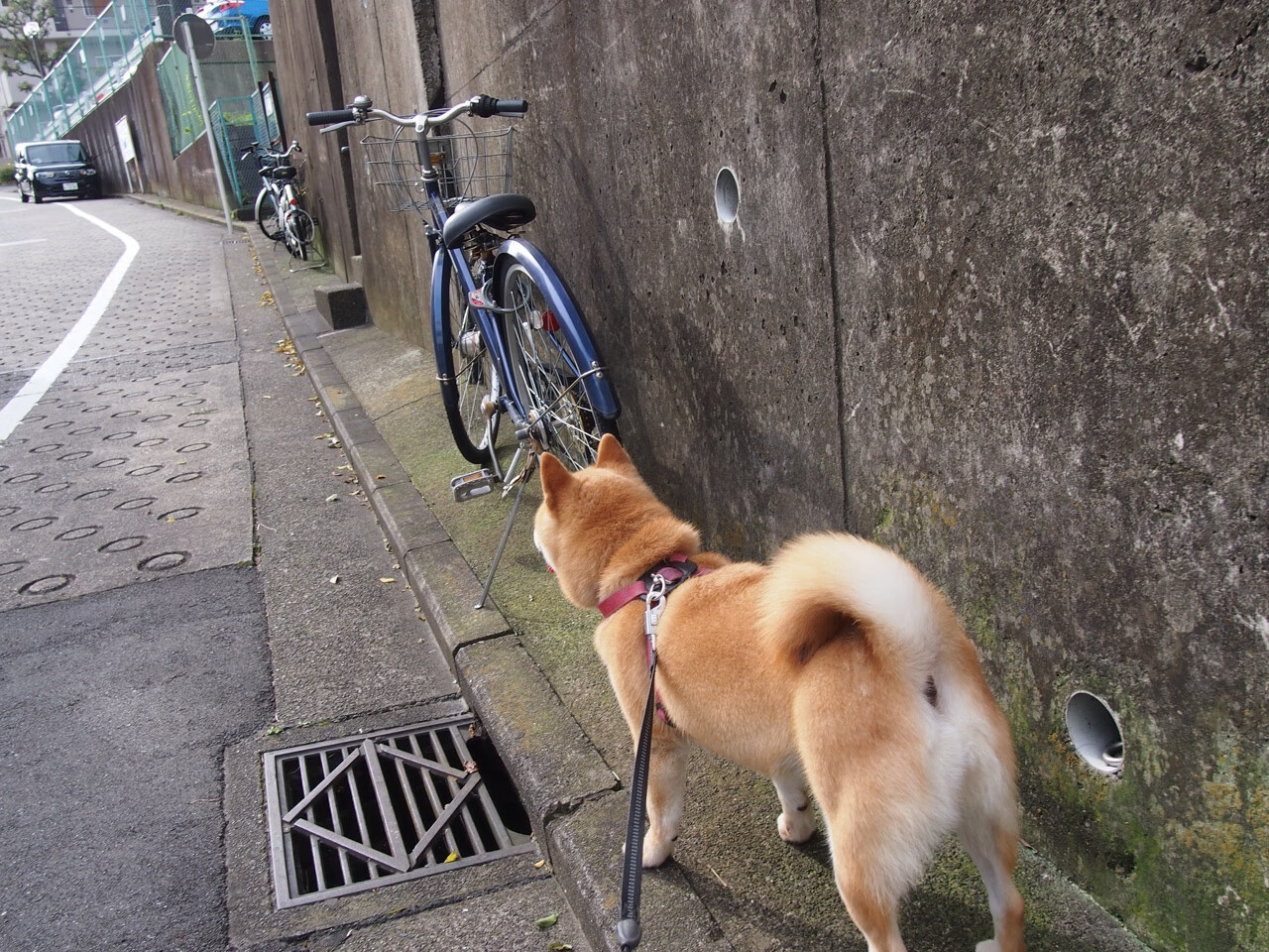 pg电子试玩网站-王权更迭与铁幕降临，当伦纳德以球拍改写世界排名