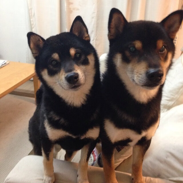 绿茵的权杖更迭夜,世界排名争夺战,凯塞多一记惊雷定乾坤