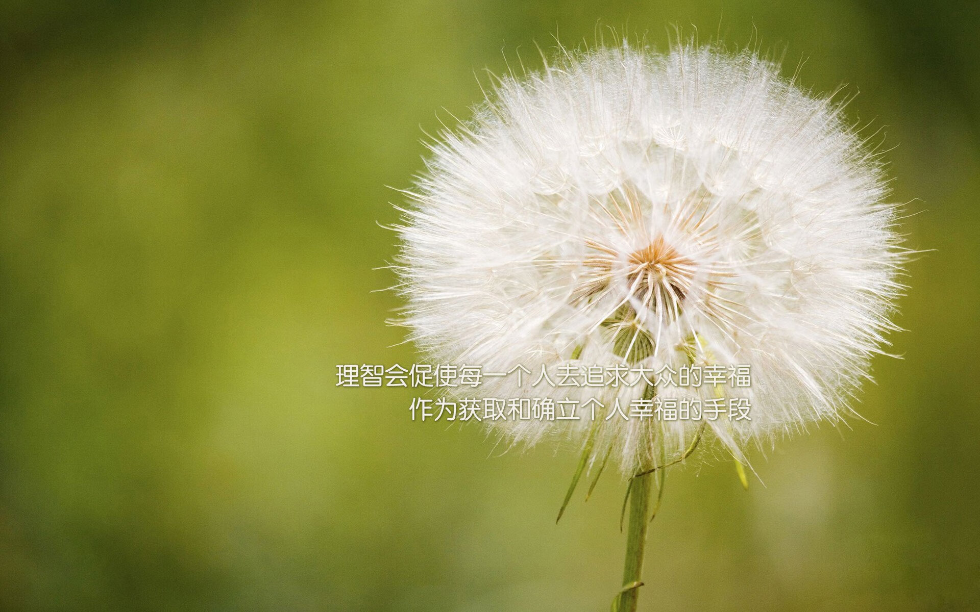 pg电子官网-奇才防守铁幕镇八方，拉文关键时刻显神威，一攻一守终结浙江连胜狂想