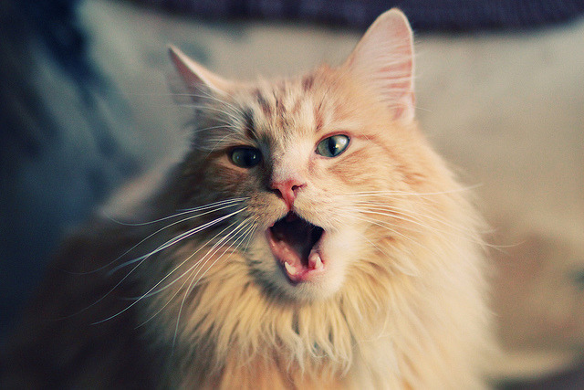 pg电子下载-托尼关键战不手软，威尔士险胜哥伦比亚