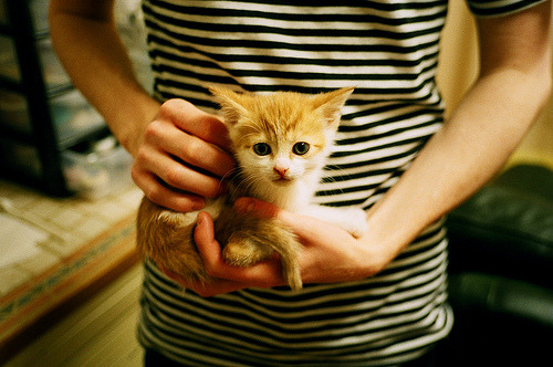 pg电子试玩网站-布鲁诺关键先生闪耀，英格兰豪强击溃国际米兰